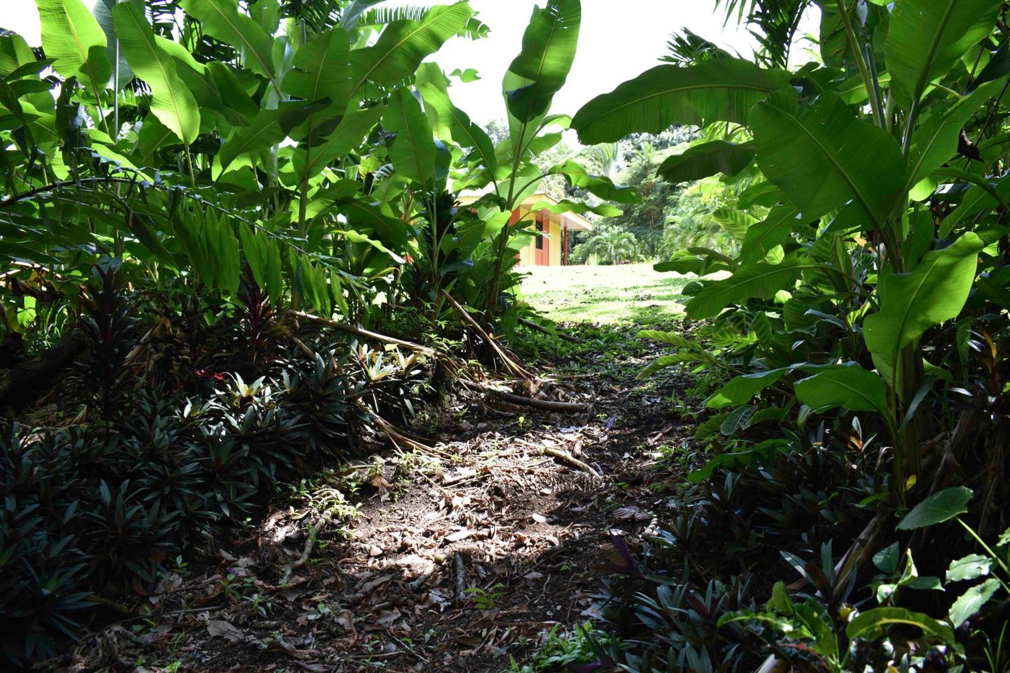 Hotel Arenal Country Inn La Fortuna Exterior foto