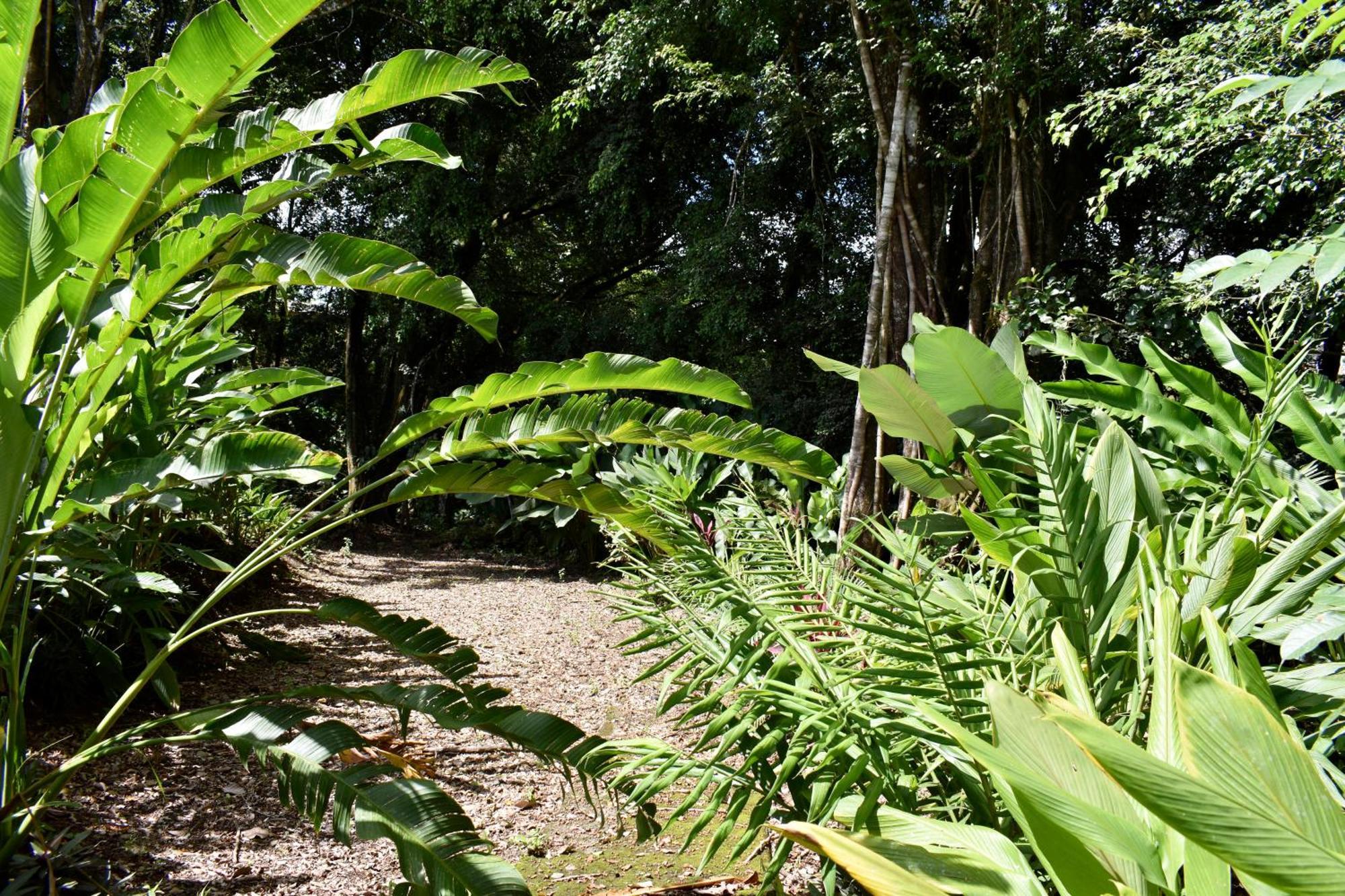 Hotel Arenal Country Inn La Fortuna Exterior foto