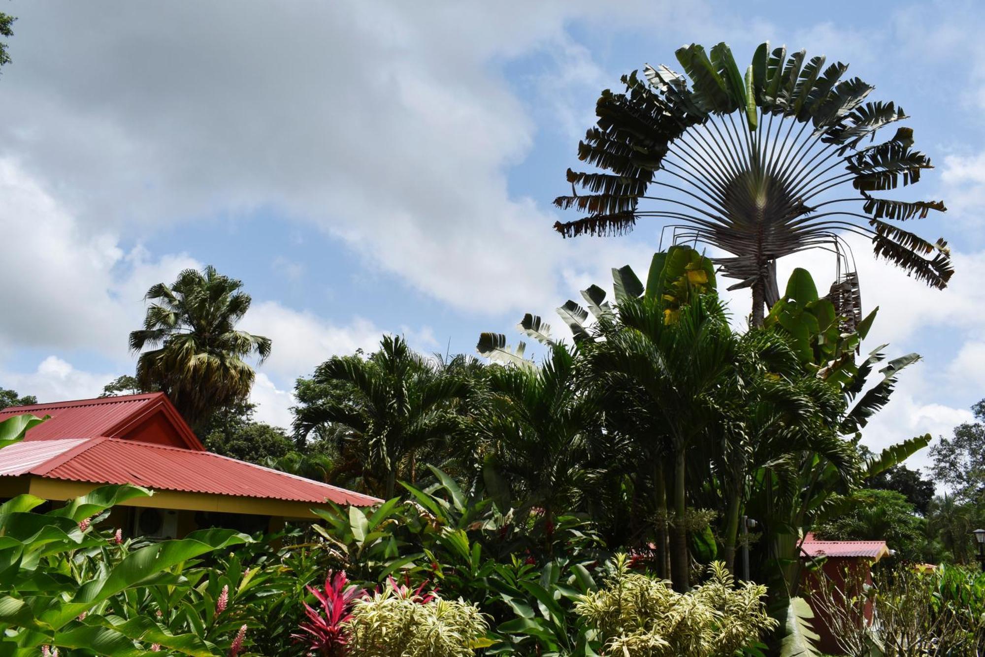 Hotel Arenal Country Inn La Fortuna Exterior foto